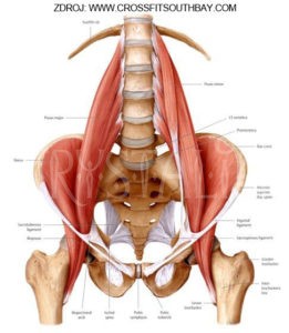 Psoas sval duše