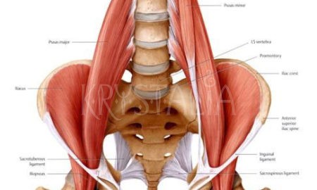 Psoas sval duše, workshop, Martin Duriš